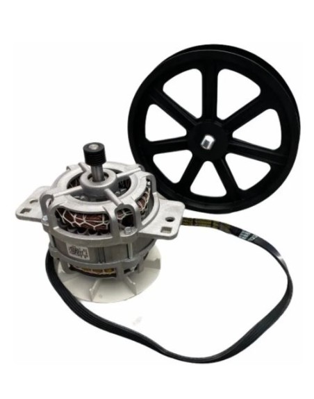 Kit Motor Polea y Banda W910010005 Acros