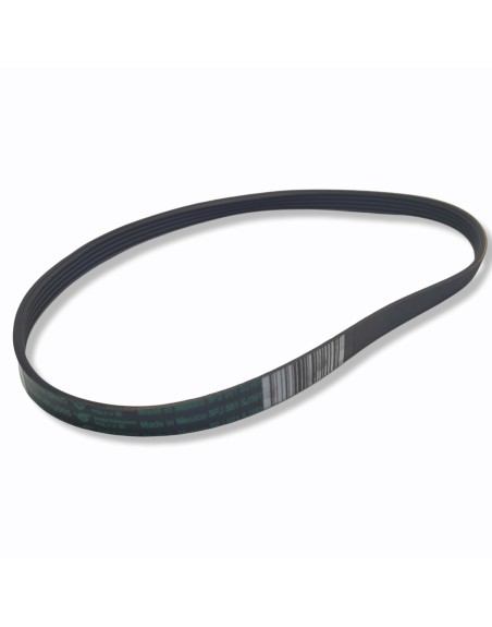 Banda 5 Hilos Kraken Original 253C1275P001