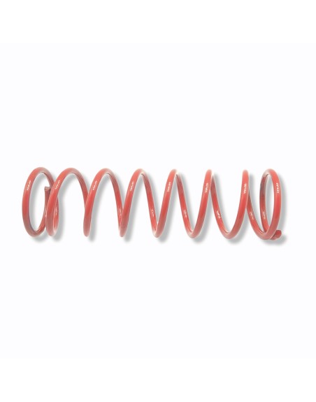 Resorte Rojo 96.43mm Para Amazonas