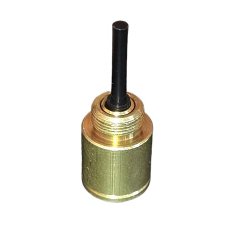 Válvula Reguladora para Gas 5303209871