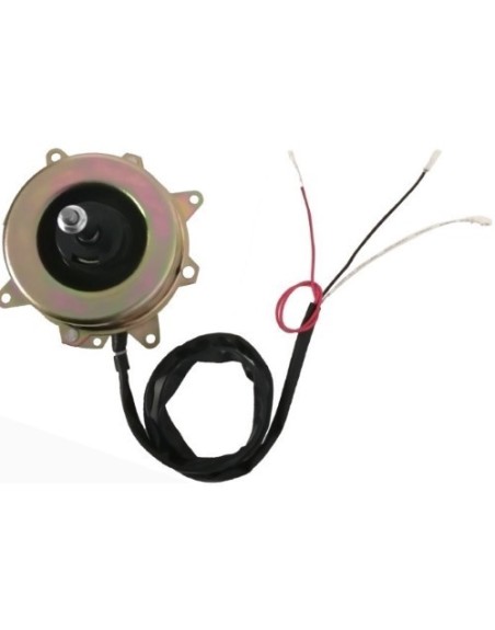 Motor Condensador Para Minisplit  CW 73W-220V-4 Polos